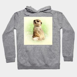 Meerkat Hoodie